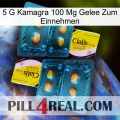 5Gm Kamagra 100Mg Oral Jelly cialis5